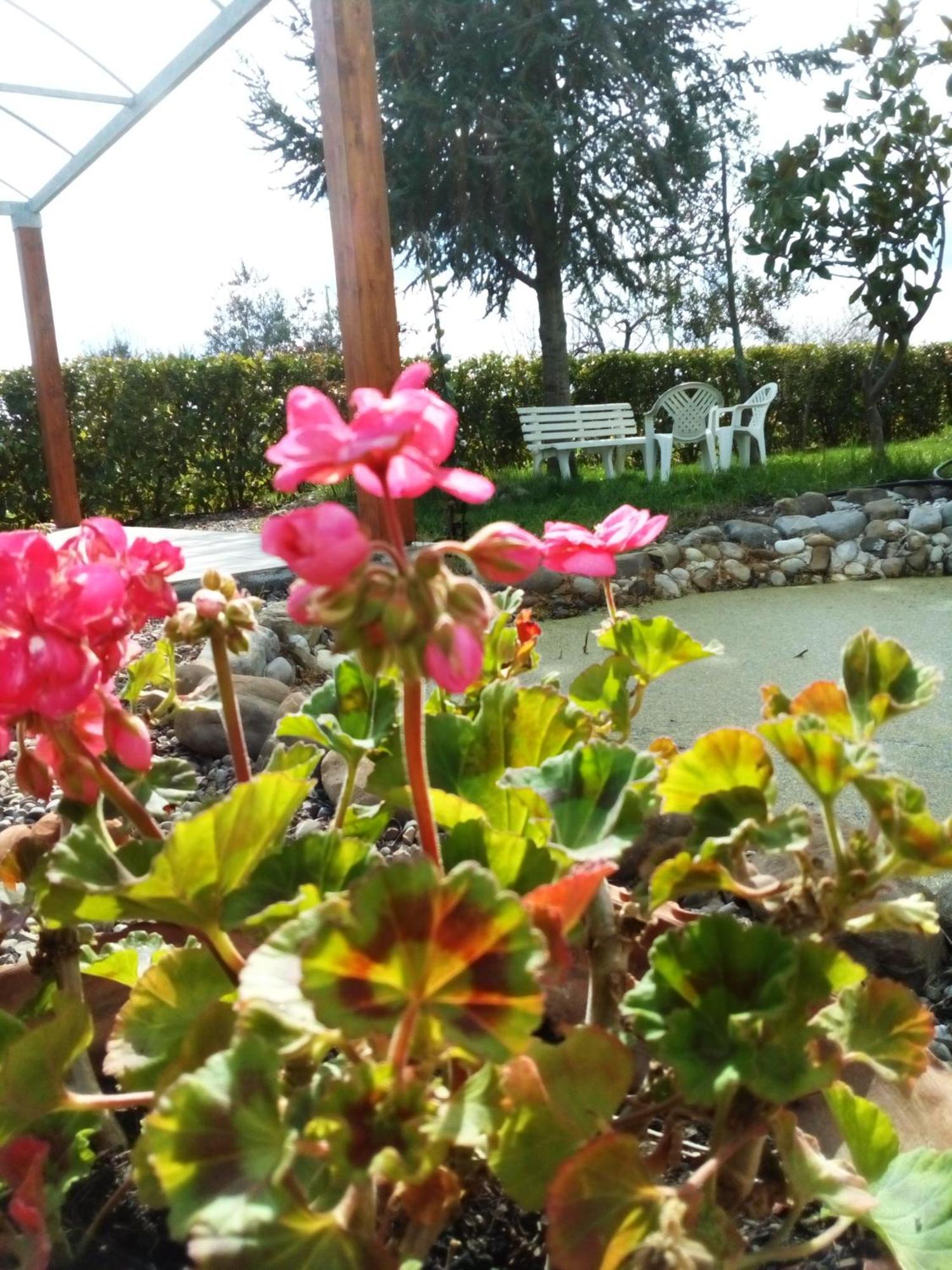 Dimora Antonianna In Valle D'Itria โลโกโรตอนโด ภายนอก รูปภาพ