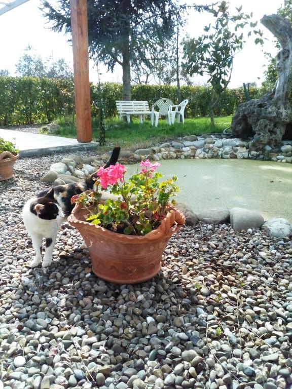 Dimora Antonianna In Valle D'Itria โลโกโรตอนโด ภายนอก รูปภาพ