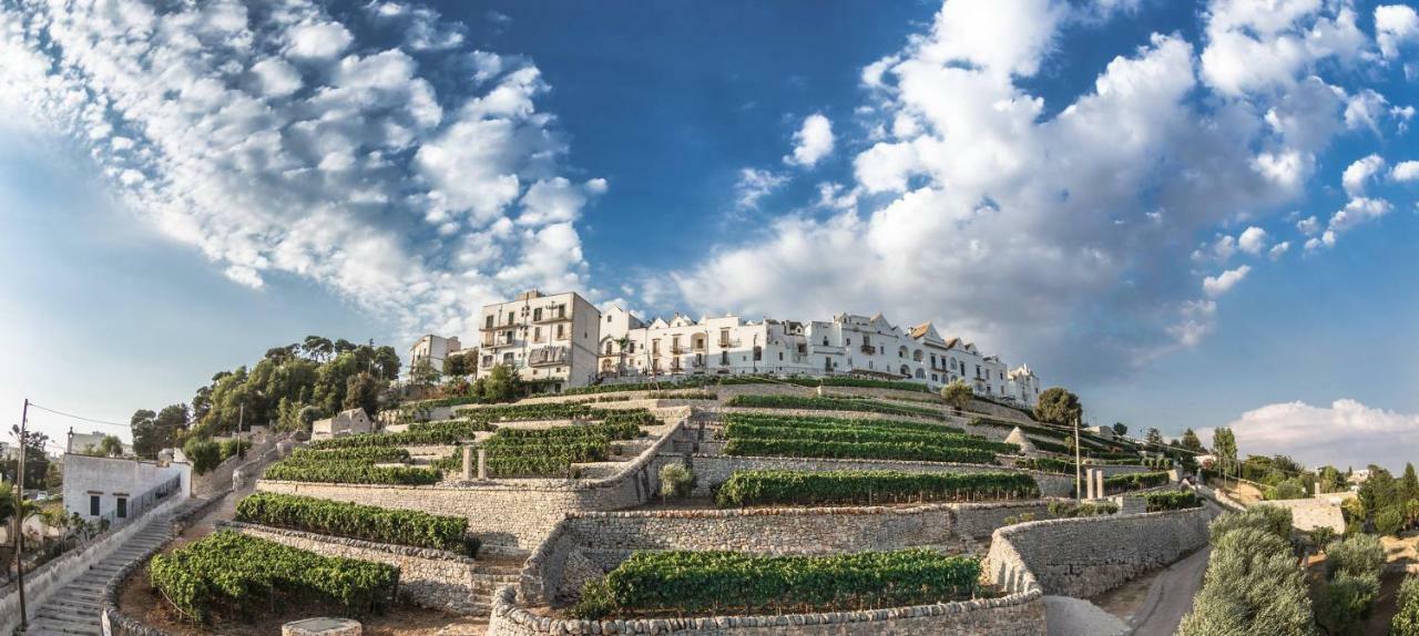 Dimora Antonianna In Valle D'Itria โลโกโรตอนโด ภายนอก รูปภาพ